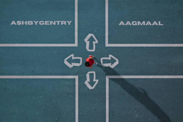 User exploring features on the Aagmaal platform.