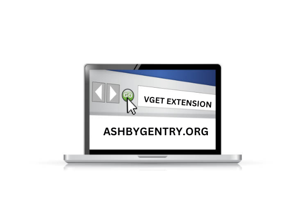 The Vget extension interface showcasing media download options on a browser.