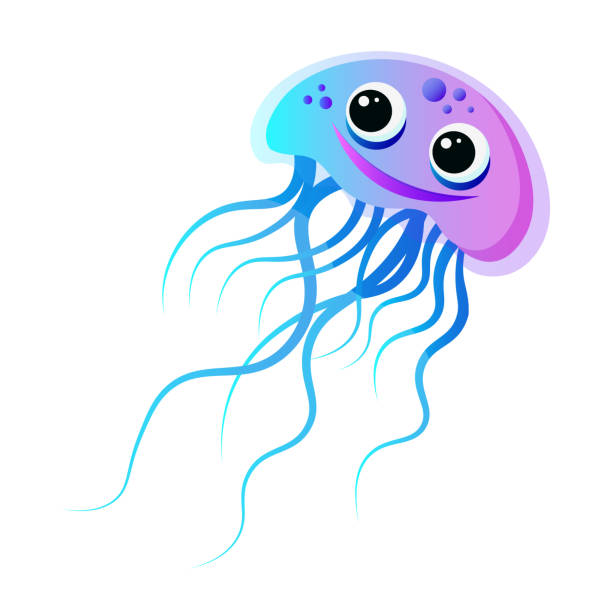 istockphoto-2159006213-612x612